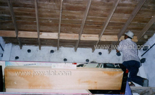 Pengerjaan kayu sirip JW Walet yang sudah diberi perangsang oleh tenaga profesional