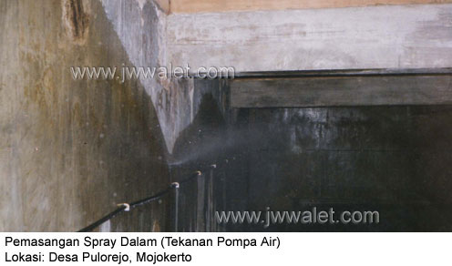 Penggunaan spray dalam JW Walet, lokasi desa Pulorejo, Mojokerto, Jatim