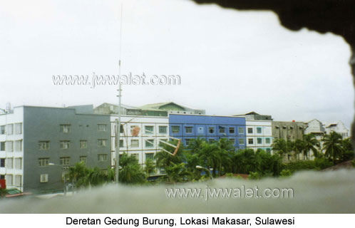 Foto deretan gedung walet,lokasi makasar ( sulawesi )