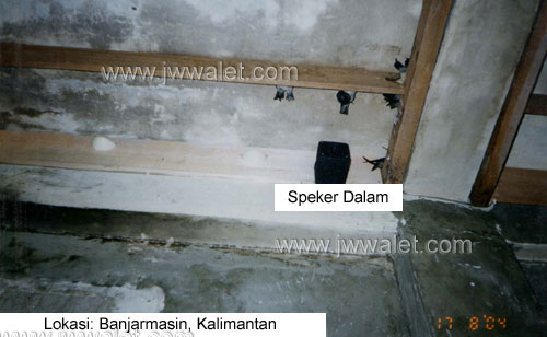 Penggunaan Speaker Box dari audio JW walet sangat disukai oleh kumpulan burung, lokasi Banjarmasin